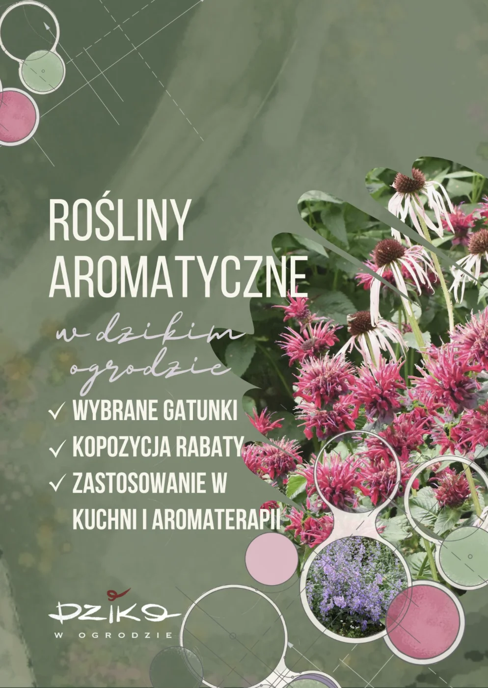 Aromatyczne rośliny w ogrodzie